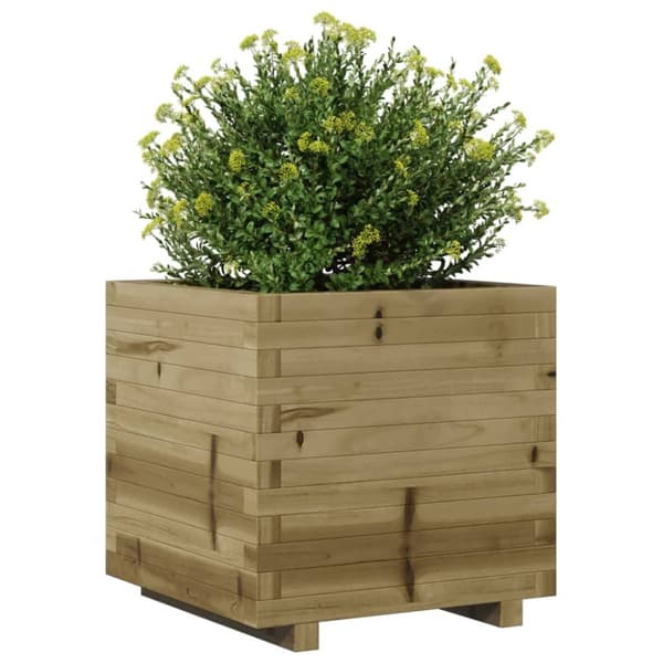 vidaXL plantekasse 50x50x49,5 cm imprægneret fyrretræ