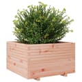 Miniatyrbilde 5 av 11: vidaXL Plantekasse 80x80x49,5 cm heltre douglasgran