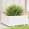 Miniatyrbillede 2 af 11: vidaXL plantekasse 110x110x49,5 cm massivt fyrretræ hvid