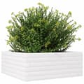 Miniatyrbillede 3 af 10: vidaXL plantekasse 60x60x23 cm massivt fyrretræ hvid