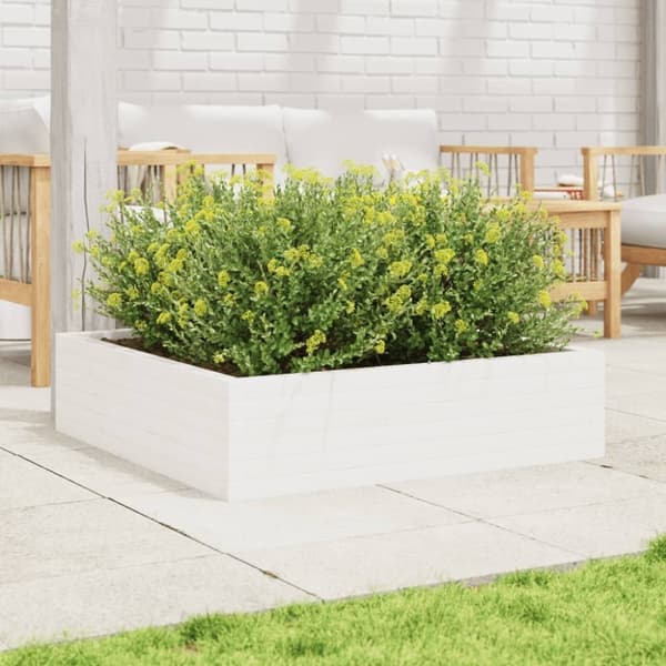 vidaXL Odlingslåda 90x90x23 cm vit massiv furu