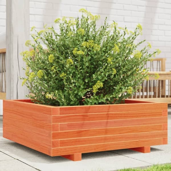vidaXL Kukkalaatikko vahanruskea 70x70x26,5 cm täysi mänty
