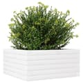 Miniatyrbillede 3 af 10: vidaXL plantekasse 50x50x23 cm massivt fyrretræ hvid