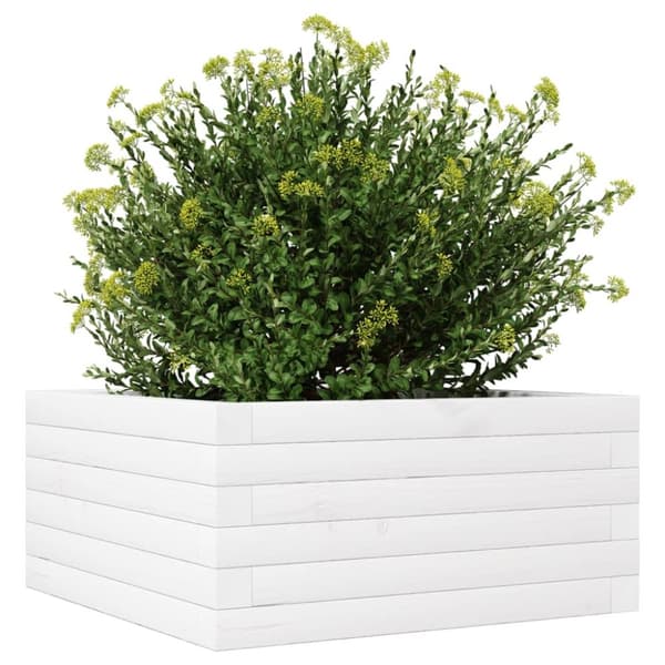 vidaXL plantekasse 50x50x23 cm massivt fyrretræ hvid