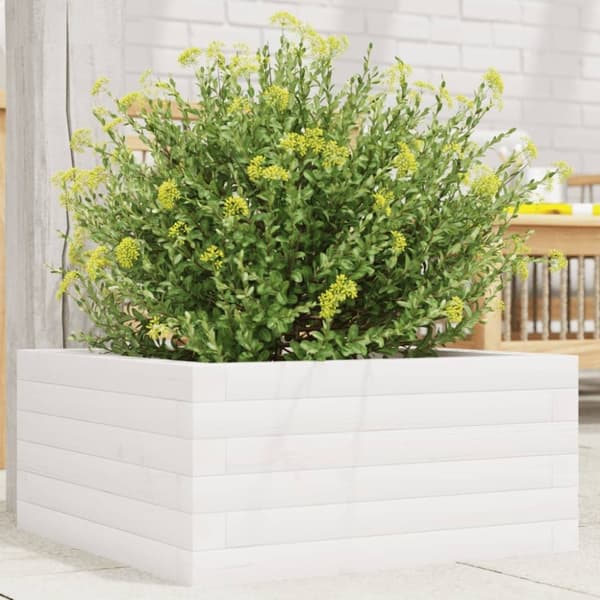 vidaXL plantekasse 50x50x23 cm massivt fyrretræ hvid