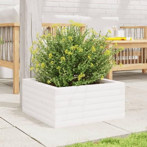 vidaXL plantekasse 50x50x23 cm massivt fyrretræ hvid