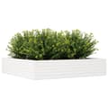 Miniatyrbillede 3 af 10: vidaXL plantekasse 110x110x23 cm massivt fyrretræ hvid