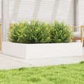 Miniatyrbillede 10 af 10: vidaXL plantekasse 110x110x23 cm massivt fyrretræ hvid