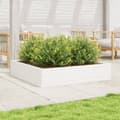 Miniatyrbillede 2 af 10: vidaXL plantekasse 110x110x23 cm massivt fyrretræ hvid