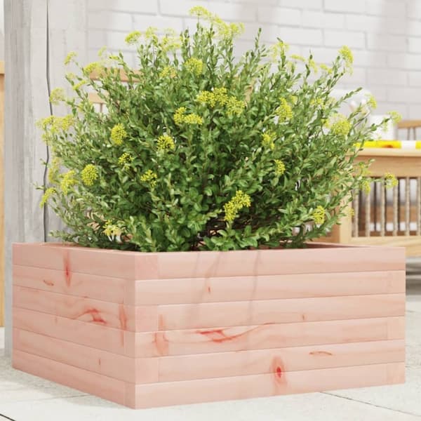 vidaXL plantekasse 50x50x23 cm massivt douglasgran