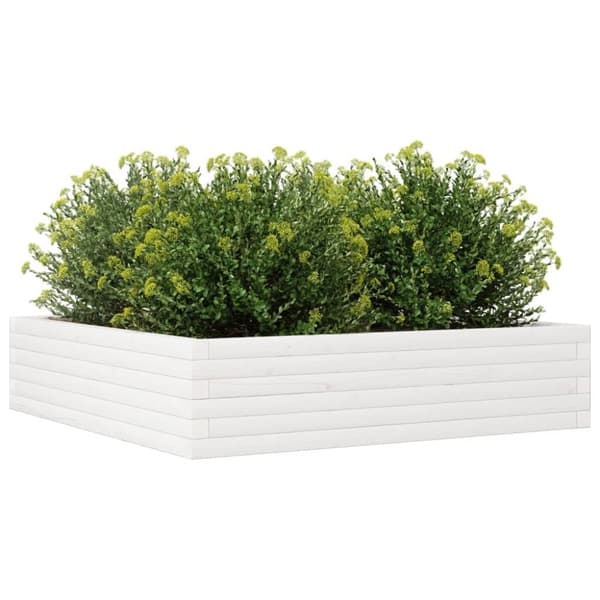 vidaXL plantekasse 100x100x23 cm massivt fyrretræ hvid