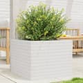 Miniatyrbilde 10 av 10: vidaXL Plantekasse hvit 60x60x45,5 cm heltre furu
