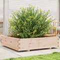 Miniatyrbilde 10 av 10: vidaXL Plantekasse 100x100x26,5 cm heltre furu