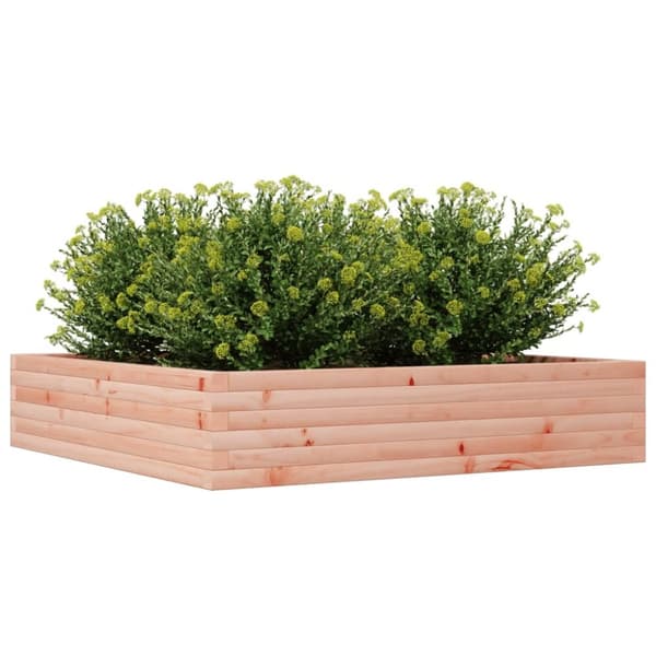 vidaXL Odlingslåda 110x110x23 cm massivt douglasträ