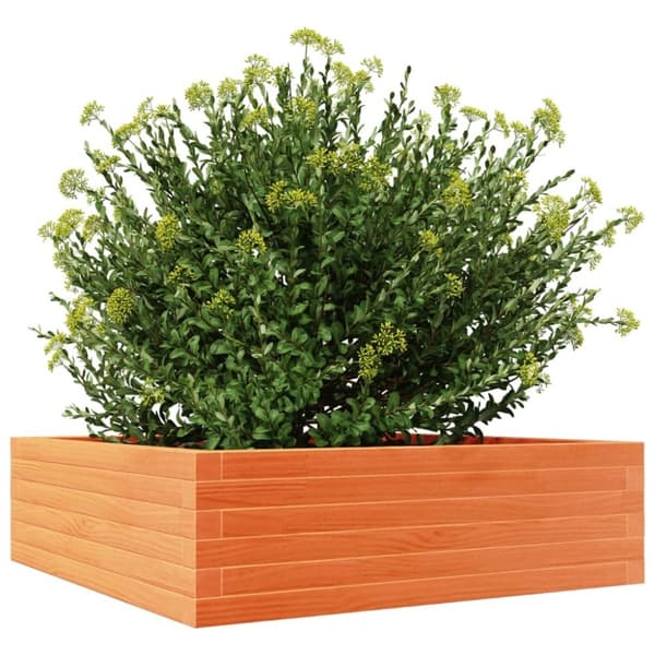 vidaXL plantekasse 80x80x23 cm massivt fyrretræ gyldenbrun