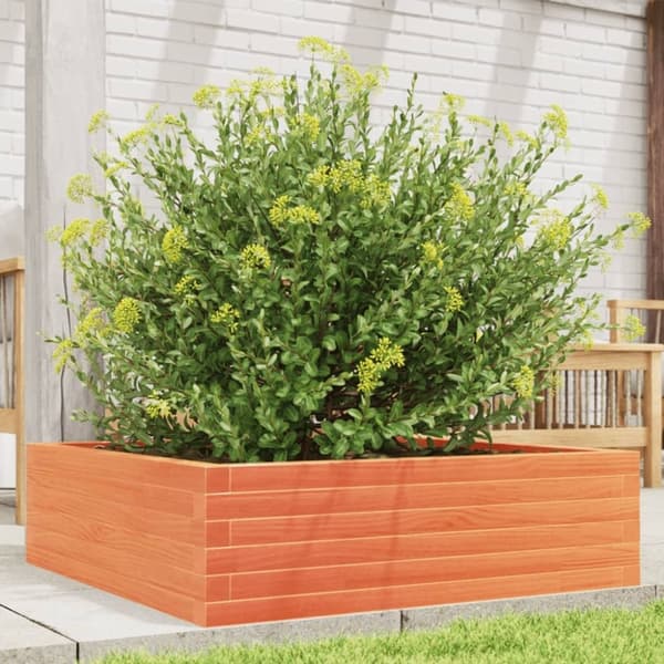 vidaXL plantekasse 80x80x23 cm massivt fyrretræ gyldenbrun