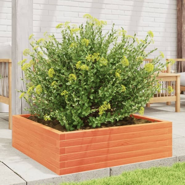 vidaXL plantekasse 80x80x23 cm massivt fyrretræ gyldenbrun