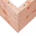 Miniatyrbilde 7 av 10: vidaXL Plantekasse 70x70x45,5 cm heltre douglasgran