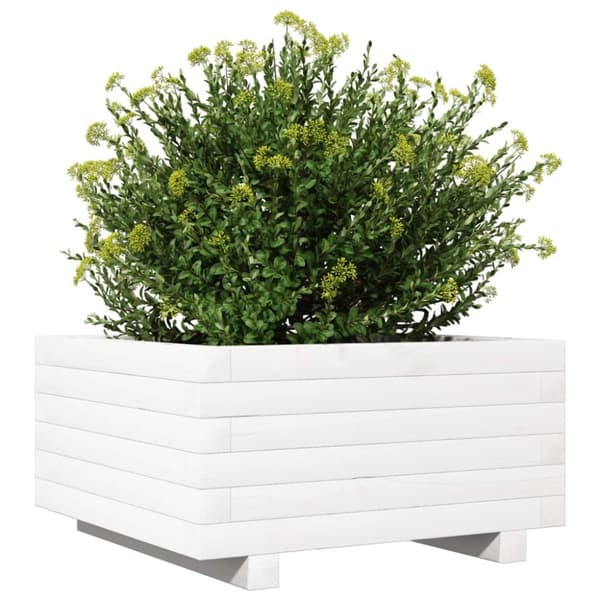 vidaXL plantekasse 50x50x26,5 cm massivt fyrretræ hvid