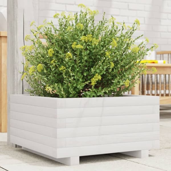 vidaXL plantekasse 50x50x26,5 cm massivt fyrretræ hvid