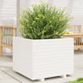 Miniatyrbillede 2 af 11: vidaXL plantekasse 60x60x49,5 cm massivt fyrretræ hvid