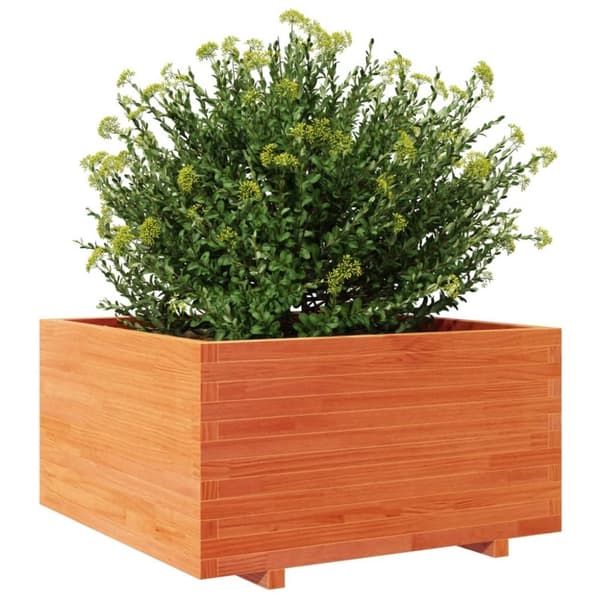 vidaXL plantekasse 90x90x49,5 cm massivt fyrretræ gyldenbrun