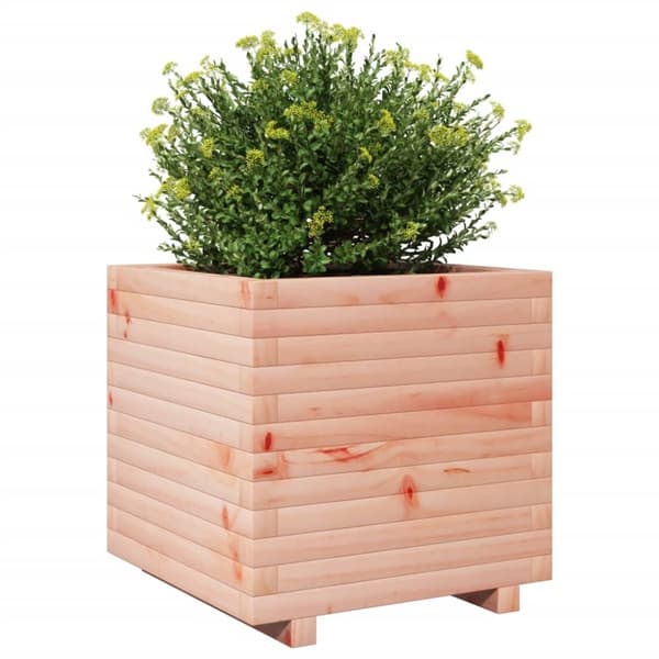 vidaXL Plantekasse 50x50x49,5 cm heltre douglasgran
