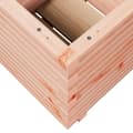 Miniatyrbilde 9 av 11: vidaXL Plantekasse 50x50x49,5 cm heltre douglasgran