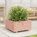Miniatyrbillede 2 af 10: vidaXL plantekasse 50x50x26,5 cm massivt douglasgran