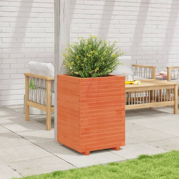 vidaXL plantekasse 50x50x72,5 cm massivt fyrretræ gyldenbrun