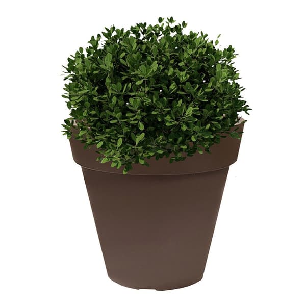 Wellhome Ale-x Blomkruka 60x55 Cm