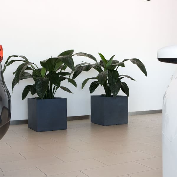 Wellhome Cubo Dan-i Blomsterpotte 95l
