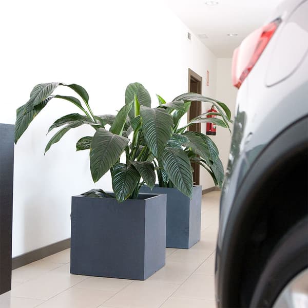 Wellhome Cubo Dan-i Blomsterpotte 95l