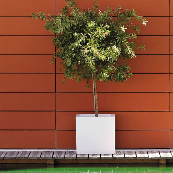 Wellhome Cubo Dan-i Ruukku 95l