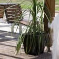 Miniatyrbillede 2 af 3: Wellhome Orion Blomsterpotte 48l