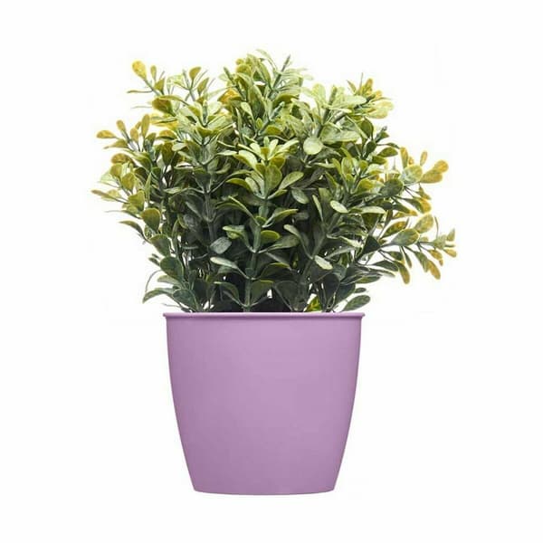 Kruka Stefanplast Academy Plast 11,3 x 10 x 11,3 cm (60 antal)