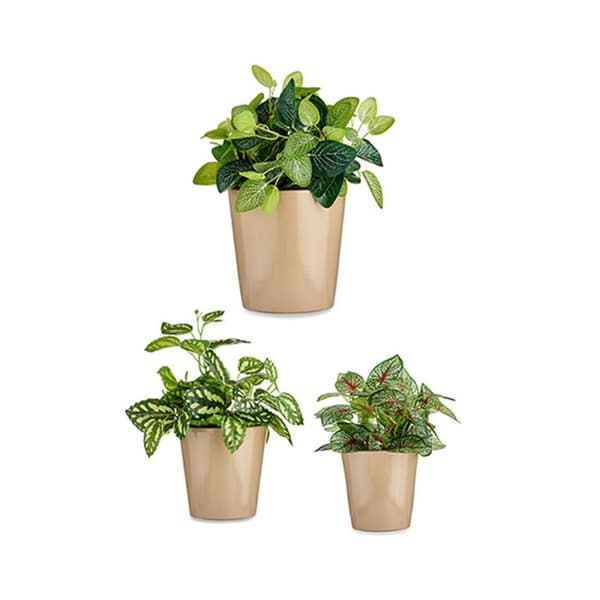 Krukset Ibergarden CONICO-1019 Beige Lera Cónica Ø 14 cm Ø 22 cm Ø 17 cm 3 Delar