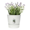 Miniatyrbild 8 av 8: Kruka Elho 0464344715000 Vit Rund