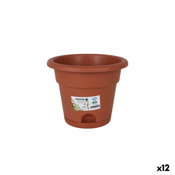 Blomkruka med fat Dem Greentime Brun 20 x 20 x 16 cm (12 antal)