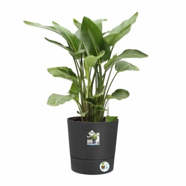 Kruka Elho Plast Rund Modern