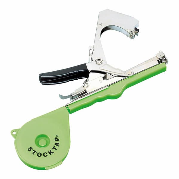 Verktyg Stocker Grön Band 36 x 36 cm