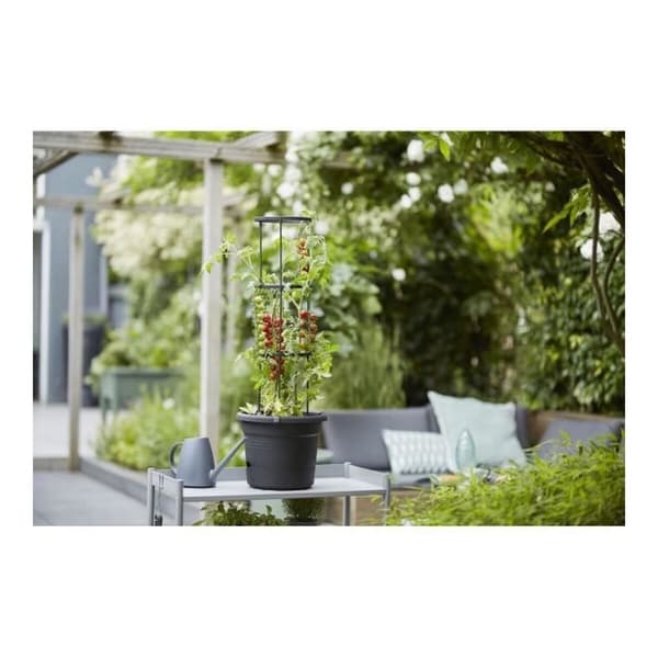 Urtepotte Elho Basics Tomato Sort (Ø 33 cm)