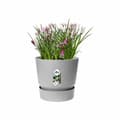 Miniatyrbillede 3 af 6: Urtepotte Elho Greenville Ø 24,48 cm Plastik
