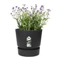 Miniatyrbilde 3 av 6: Dekorative Pongponger Elho Greenville Svart Plast Sirkulær Ø 40 cm Ø 39 x 36,8 cm