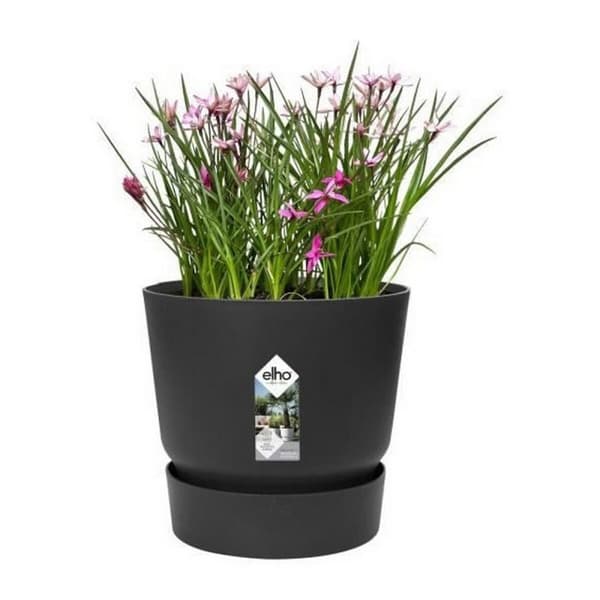 Dekorative Pongponger Elho Greenville Svart Plast Sirkulær Ø 40 cm Ø 39 x 36,8 cm