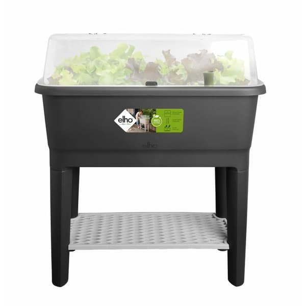 Drivhus Elho Sort Plastik 78,5 cm