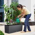 Miniatyrbillede 5 af 5: Urtepotte Lechuza 100 x 32 x 34 cm Plastik Rektangulær