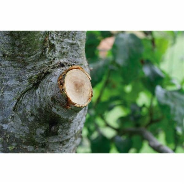 Beskjæringssaks Gardena SmartCut Comfort