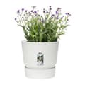 Miniatyrbilde 2 av 4: Plantepotte med Tellarken Elho Greenville Ø 39 x 36,8 cm Sirkulær Hvit Plast