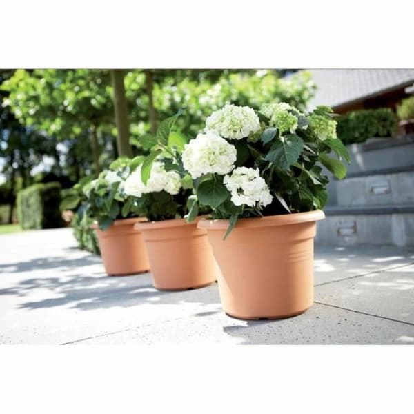 Dekorative Pongponger Elho Sirkulær Rosa Plast Ø 30 cm